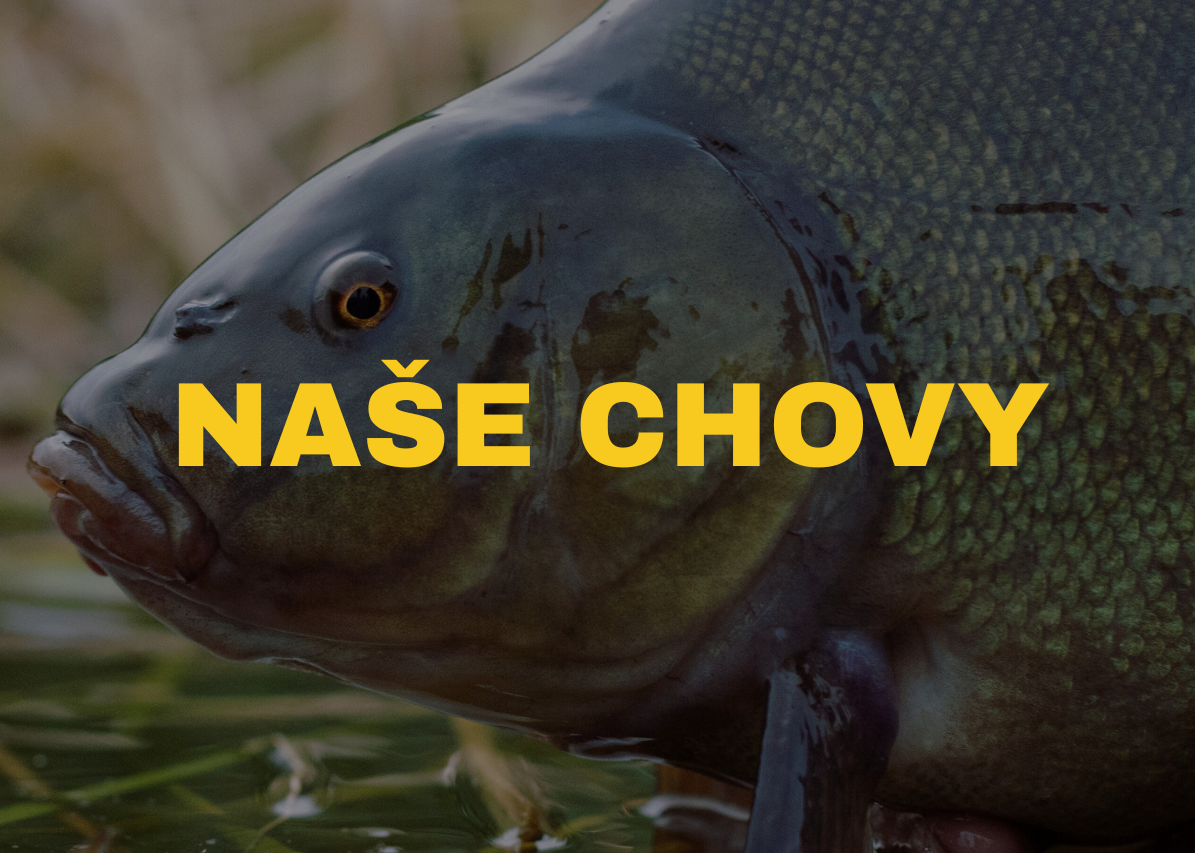 mobil naše chovy